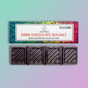 Shroomies-Dark Chocolate Sea Salt Mushroom Edibles picture