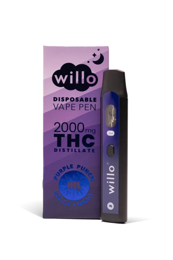 Willo 2000mg THC Disposable Vape Pen – Purple Punch