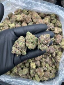 Candy Runtz Weed Strain