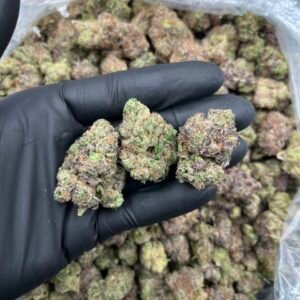 Candy Runtz Weed Strain