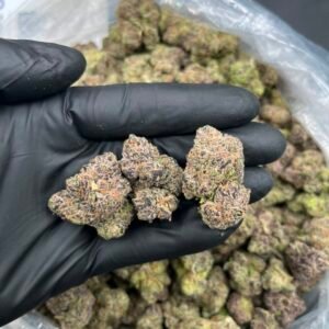 grape candy runtz strain