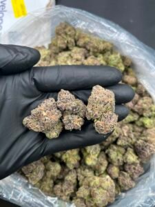 Lemon Candy Runtz Strain