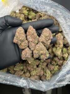 candied runtz strain