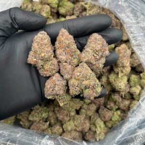 candied runtz strain