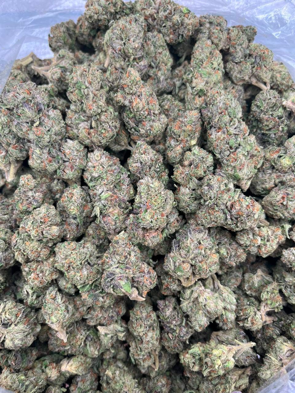 cotton candy runtz strain