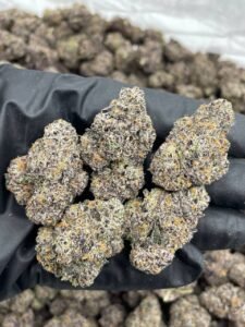 Black Candy Runtz Strain