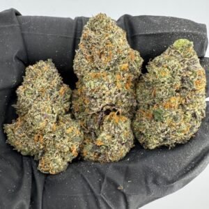 Candy Apple Runtz Strain