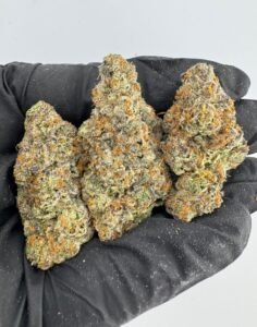 Candy Cane Runtz Strain