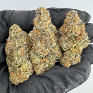 Candy Cane Runtz Strain