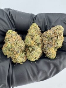 Candy Land Runtz Strain