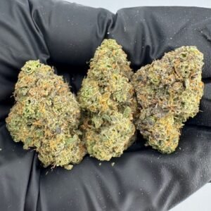 Candy Land Runtz Strain