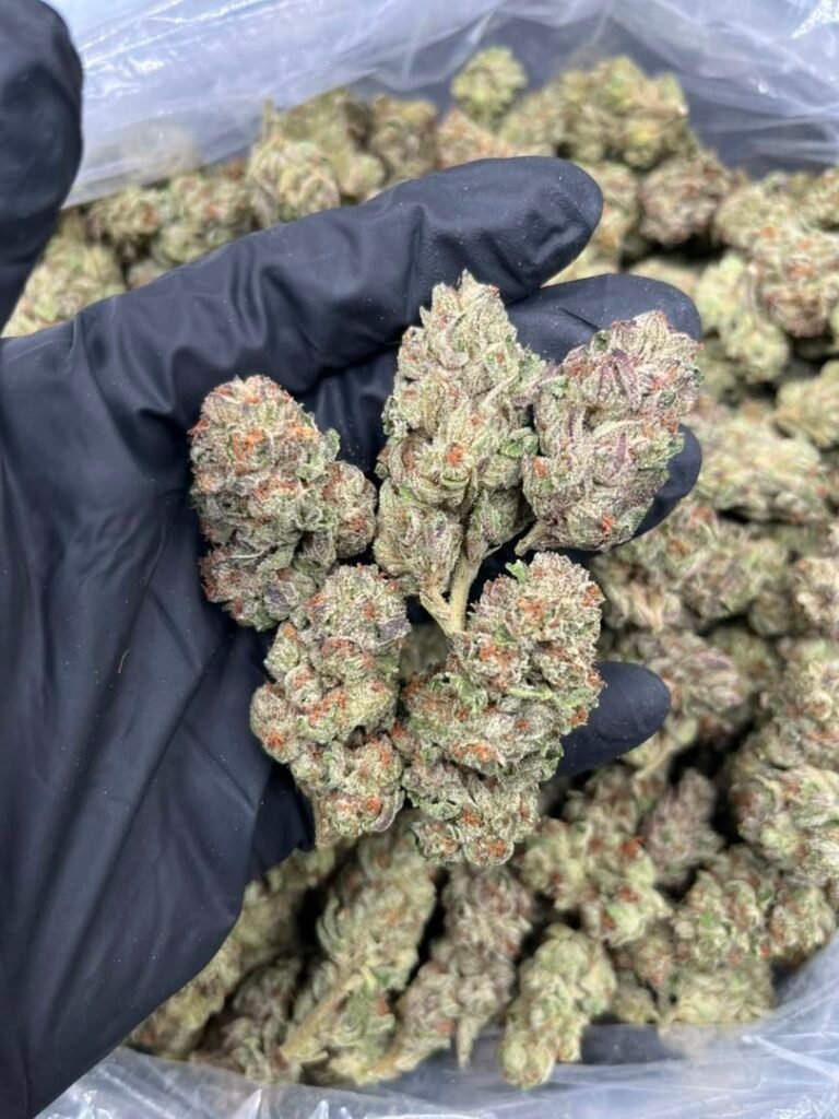 Candy Runtz Strain Effects