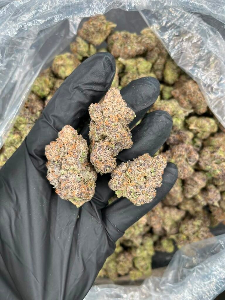 Candy Runtz Strain Info, candy runtz strain description