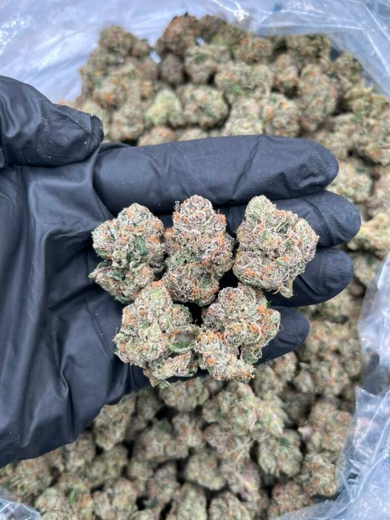 Candy Runtz Strain Review