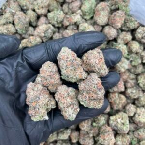Grandi Candi Runtz Strain