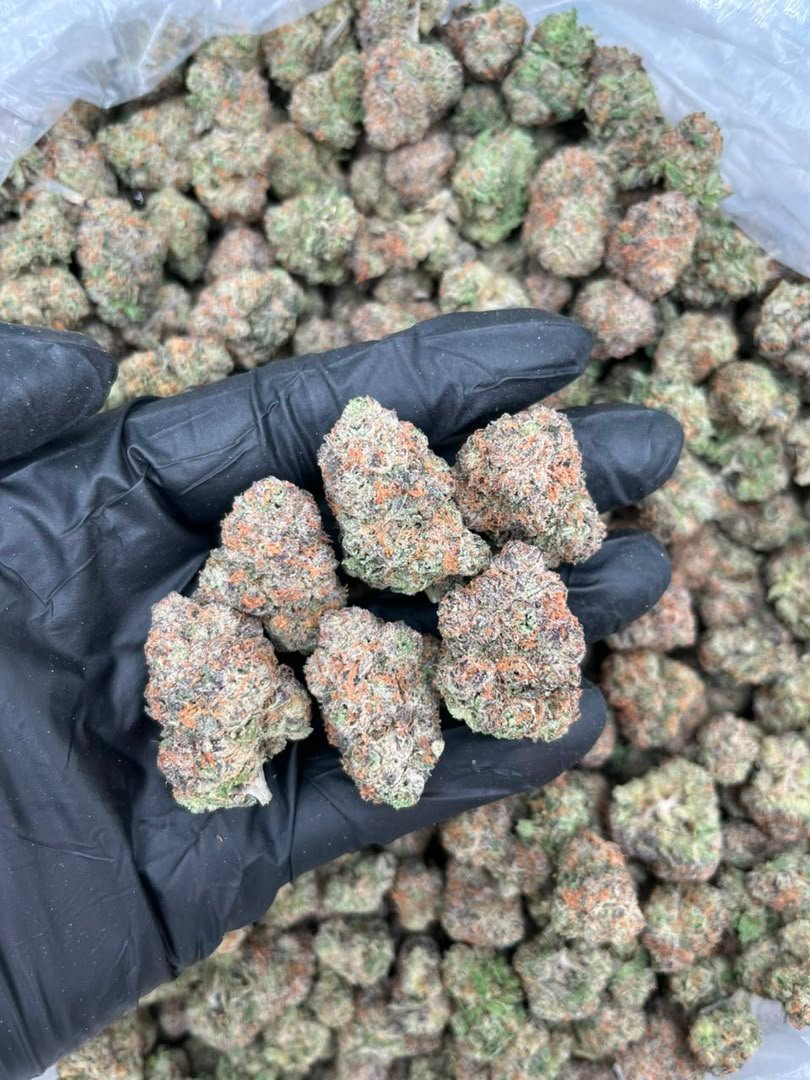 Grandi Candi Runtz Strain