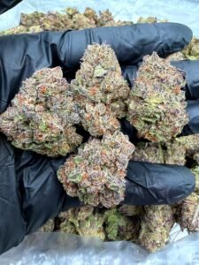 Pink Candy Runtz Strain