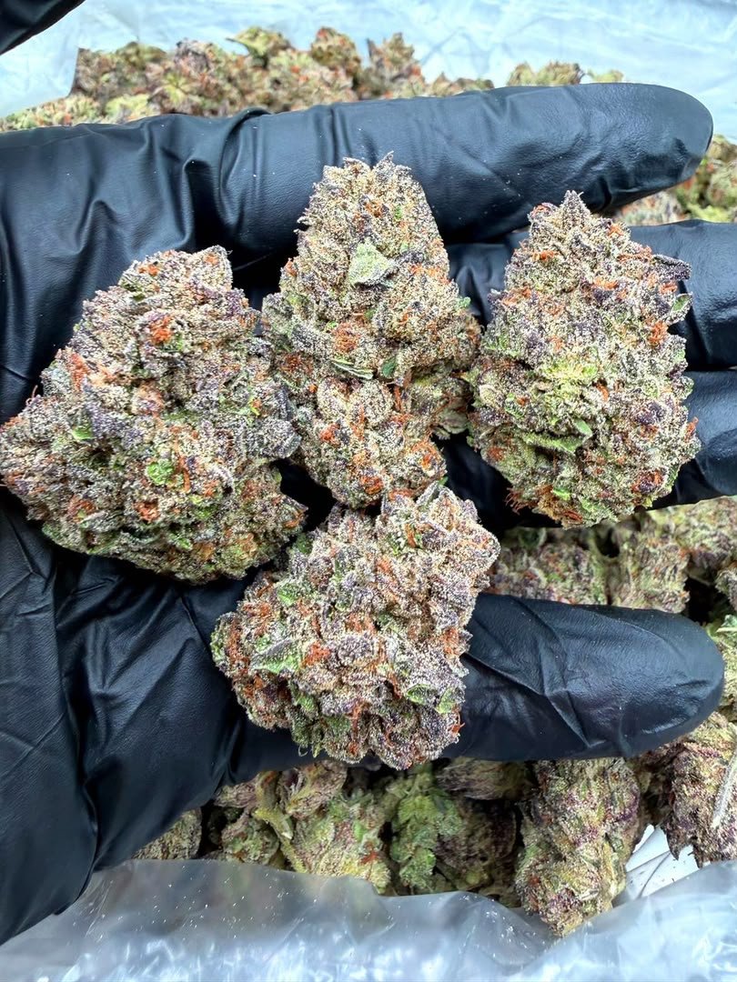 Pink Candy Runtz Strain