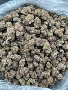 Purple Candy Runtz Strain