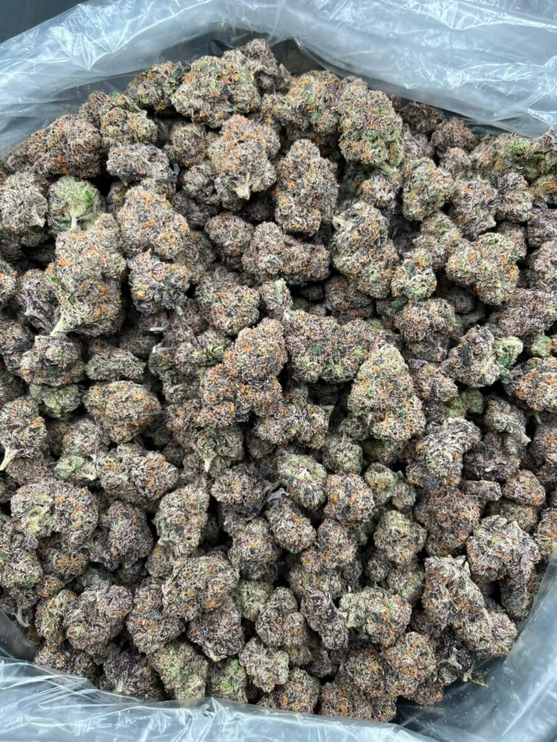Purple Candy Runtz Strain