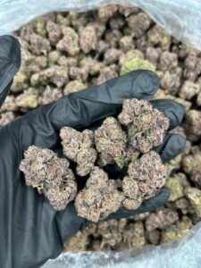 Purple Candy Runtz Strain