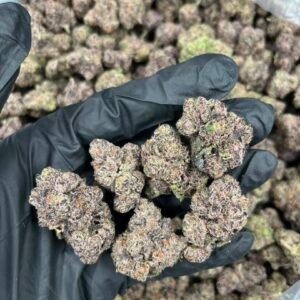 Purple Candy Runtz Strain