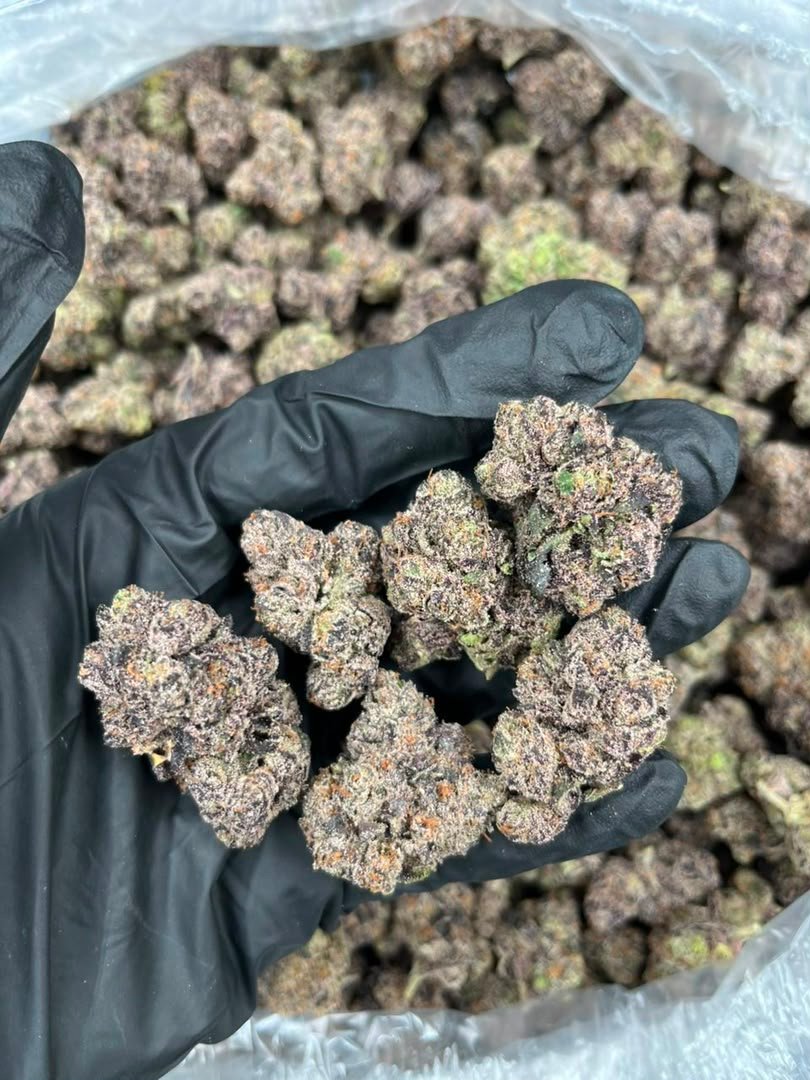 Purple Candy Runtz Strain