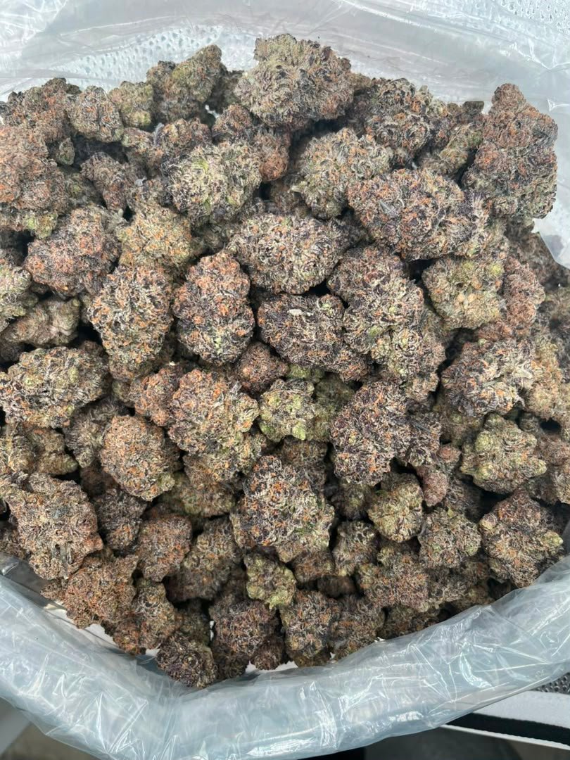 Sour Candy Runtz Strain