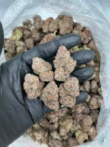 Sour Candy Runtz Strain