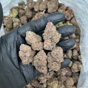 Sour Candy Runtz Strain
