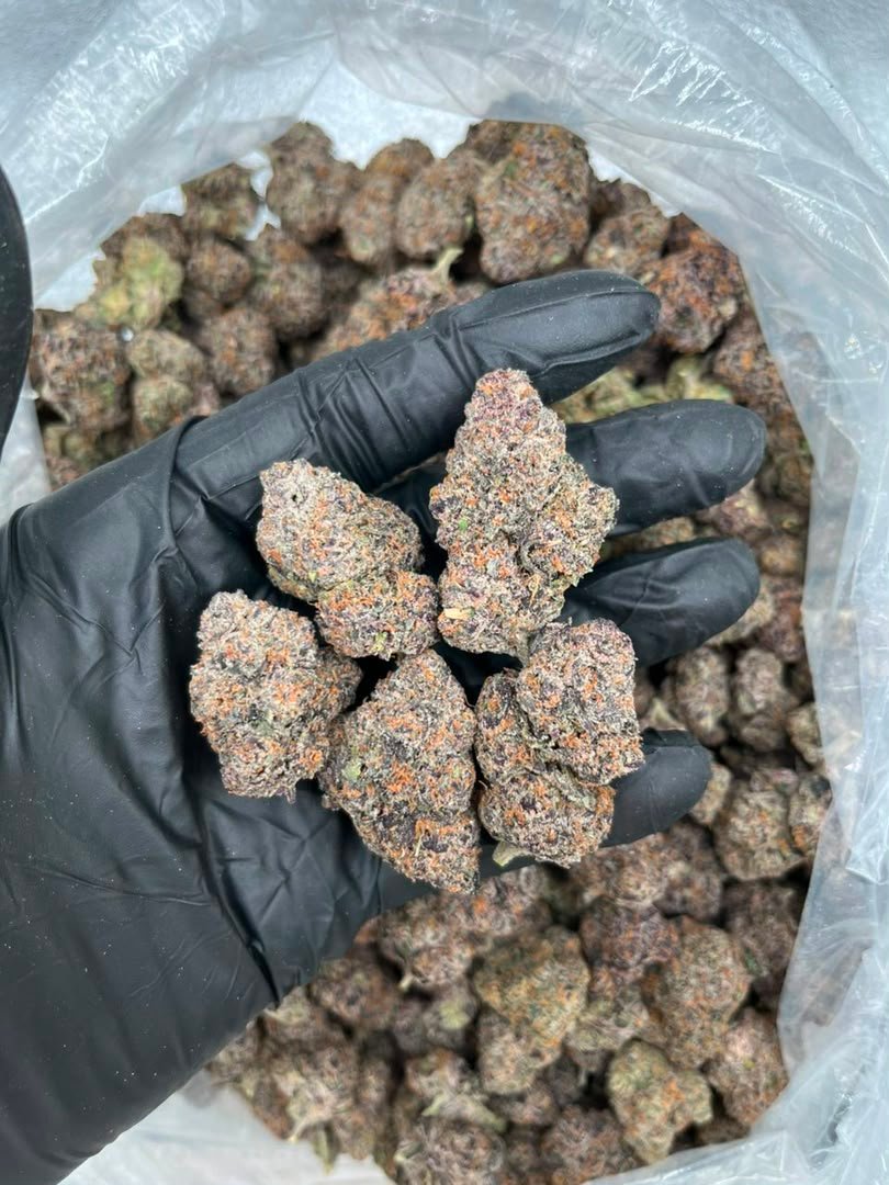 Sour Candy Runtz Strain