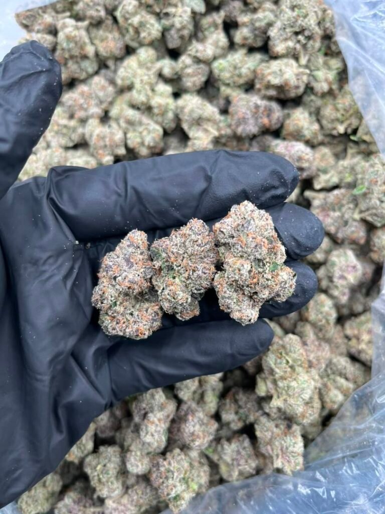 What Strain Is Candy Runtz