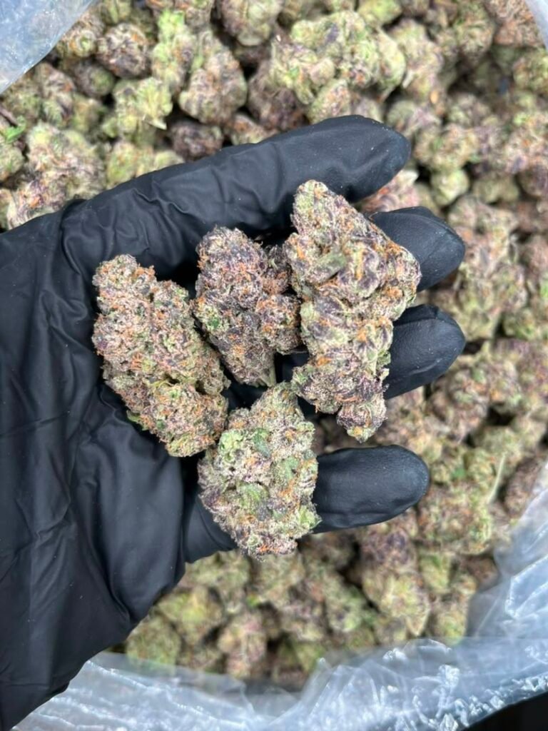 Candy Runtz strain price listing showing dense purple and green buds with heavy trichomes