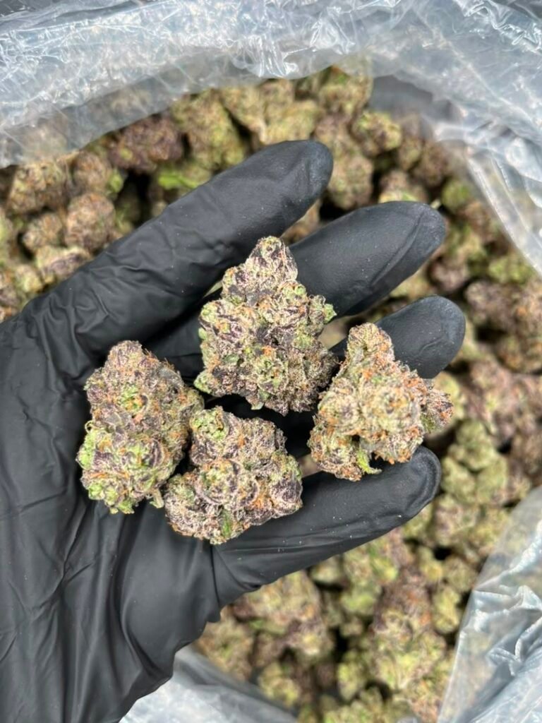 Candy Runtz strain wikileaf genetics chart Zkittlez Gelato cross