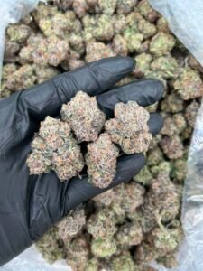 White Candy Runtz Strain