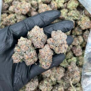White Candy Runtz Strain