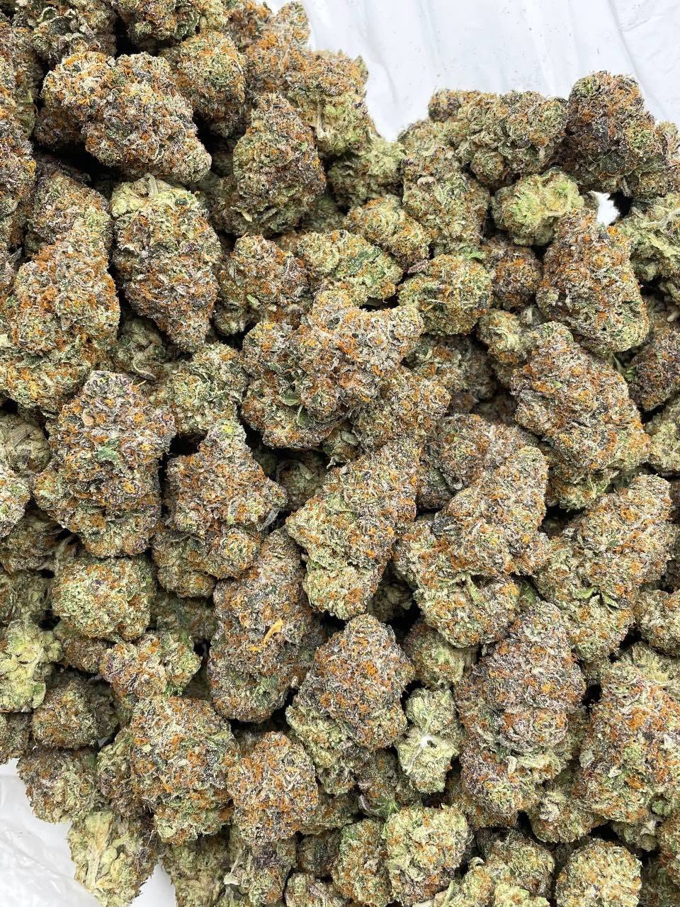 candy crush runtz strain