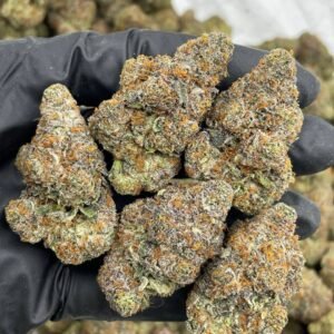 candy crush runtz strain